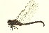  ( - 10BBODO-0072)  @13 [ ] CreativeCommons - Attribution (2010) CBG Photography Group Centre for Biodiversity Genomics