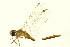  ( - 10BBODO-0083)  @13 [ ] CreativeCommons - Attribution (2010) CBG Photography Group Centre for Biodiversity Genomics