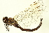  ( - 10BBODO-0109)  @13 [ ] CreativeCommons - Attribution (2010) CBG Photography Group Centre for Biodiversity Genomics
