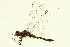  ( - 10BBODO-0120)  @13 [ ] CreativeCommons - Attribution (2010) CBG Photography Group Centre for Biodiversity Genomics