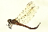  ( - 10BBODO-0145)  @13 [ ] CreativeCommons - Attribution (2010) CBG Photography Group Centre for Biodiversity Genomics