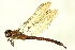  ( - 10BBODO-0151)  @13 [ ] CreativeCommons - Attribution (2010) CBG Photography Group Centre for Biodiversity Genomics
