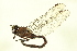  ( - 10BBODO-0161)  @14 [ ] CreativeCommons - Attribution (2010) CBG Photography Group Centre for Biodiversity Genomics
