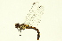  ( - 10BBODO-0187)  @13 [ ] CreativeCommons - Attribution (2010) CBG Photography Group Centre for Biodiversity Genomics