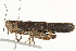  ( - BIOUG00738-A05)  @11 [ ] CreativeCommons - Attribution (2011) CBG Photography Group Centre for Biodiversity Genomics