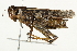  ( - BIOUG00738-A09)  @14 [ ] CreativeCommons - Attribution (2011) CBG Photography Group Centre for Biodiversity Genomics