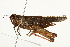  ( - BIOUG00738-A10)  @13 [ ] CreativeCommons - Attribution (2011) CBG Photography Group Centre for Biodiversity Genomics