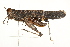  ( - BIOUG00738-E02)  @11 [ ] CreativeCommons - Attribution (2011) CBG Photography Group Centre for Biodiversity Genomics