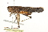  ( - BIOUG00738-E03)  @11 [ ] CreativeCommons - Attribution (2011) CBG Photography Group Centre for Biodiversity Genomics