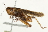  ( - BIOUG00738-E06)  @14 [ ] CreativeCommons - Attribution (2011) CBG Photography Group Centre for Biodiversity Genomics