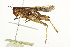  ( - BIOUG00738-E07)  @14 [ ] CreativeCommons - Attribution (2011) CBG Photography Group Centre for Biodiversity Genomics