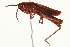  ( - BIOUG00738-H10)  @14 [ ] CreativeCommons - Attribution (2011) CBG Photography Group Centre for Biodiversity Genomics