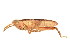  ( - BIOUG00916-D10)  @14 [ ] CreativeCommons - Attribution (2011) CBG Photography Group Centre for Biodiversity Genomics
