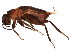  ( - BIOUG00916-F12)  @14 [ ] CreativeCommons - Attribution (2011) CBG Photography Group Centre for Biodiversity Genomics