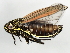  ( - 09BBEHE-094)  @14 [ ] CreativeCommons - Attribution (2009) Unspecified Centre for Biodiversity Genomics