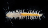  ( - 2852_DNA)  @11 [ ] CreativeCommons  Attribution Non-Commercial Share-Alike (2019) Gustav Paulay Florida Museum of Natural History