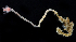  ( - 2947_DNA)  @11 [ ] CreativeCommons  Attribution Non-Commercial Share-Alike (2019) Gustav Paulay Florida Museum of Natural History