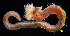  ( - 2993_DNA)  @11 [ ] CreativeCommons  Attribution Non-Commercial Share-Alike (2019) Gustav Paulay Florida Museum of Natural History