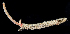  ( - 3084_DNA)  @11 [ ] CreativeCommons  Attribution Non-Commercial Share-Alike (2019) Gustav Paulay Florida Museum of Natural History