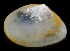  ( - 3148_DNA)  @11 [ ] CreativeCommons  Attribution Non-Commercial Share-Alike (2019) Gustav Paulay Florida Museum of Natural History