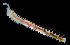  ( - 3200_DNA)  @11 [ ] CreativeCommons  Attribution Non-Commercial Share-Alike (2019) Gustav Paulay Florida Museum of Natural History