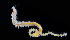  ( - 3632_DNA)  @11 [ ] CreativeCommons  Attribution Non-Commercial Share-Alike (2019) Gustav Paulay Florida Museum of Natural History