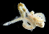  ( - 3811_DNA)  @11 [ ] CreativeCommons  Attribution Non-Commercial Share-Alike (2019) Gustav Paulay Florida Museum of Natural History