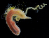  ( - 4272_DNA)  @11 [ ] CreativeCommons  Attribution Non-Commercial Share-Alike (2019) Gustav Paulay Florida Museum of Natural History
