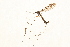  ( - 09BBTEC-076)  @12 [ ] CreativeCommons - Attribution (2010) Unspecified Centre for Biodiversity Genomics