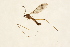  ( - 09BBTEC-108)  @12 [ ] CreativeCommons - Attribution (2010) Unspecified Centre for Biodiversity Genomics
