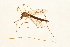  ( - 09BBTEC-121)  @13 [ ] CreativeCommons - Attribution (2010) Unspecified Centre for Biodiversity Genomics