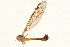  ( - 09BBTEC-025)  @12 [ ] CreativeCommons - Attribution (2010) Unspecified Centre for Biodiversity Genomics