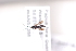  (Ascogaster wanang_sp2 - CCDB-26502-A02)  @11 [ ] CreativeCommons  Attribution (2016) Donald Quicke Chulalongkorn University