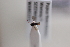  (Ascogaster wanang_sp3 - CCDB-26502-A3)  @12 [ ] CreativeCommons  Attribution (2016) Donald Quicke Chulalongkorn University