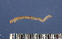  ( - CCDB-24241-F5)  @12 [ ] CreativeCommons  Attribution (2015) Pornthap Kerkig Integrated Ecology Lab, Chulalongkorn University