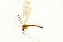  ( - 08BBTIP-005)  @13 [ ] CreativeCommons - Attribution (2009) Unspecified Centre for Biodiversity Genomics