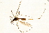  ( - 08BBTIP-037)  @12 [ ] CreativeCommons - Attribution (2009) Unspecified Centre for Biodiversity Genomics
