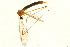  ( - 08BBTIP-040)  @13 [ ] CreativeCommons - Attribution (2009) Unspecified Centre for Biodiversity Genomics