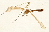  ( - 08BBTIP-060)  @13 [ ] CreativeCommons - Attribution (2009) Unspecified Centre for Biodiversity Genomics