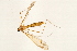  ( - 08BBTIP-071)  @12 [ ] CreativeCommons - Attribution (2009) Unspecified Centre for Biodiversity Genomics