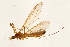  ( - 08BBTIP-073)  @13 [ ] CreativeCommons - Attribution (2009) Unspecified Centre for Biodiversity Genomics