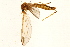  ( - 08BBTIP-075)  @13 [ ] CreativeCommons - Attribution (2009) Unspecified Centre for Biodiversity Genomics