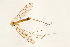  ( - 08BBTIP-078)  @12 [ ] CreativeCommons - Attribution (2009) Unspecified Centre for Biodiversity Genomics