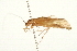  ( - 09BBTUS-040)  @12 [ ] CreativeCommons - Attribution (2010) Unspecified Centre for Biodiversity Genomics