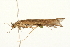  ( - 09BBTUS-068)  @13 [ ] CreativeCommons - Attribution (2010) Unspecified Centre for Biodiversity Genomics