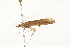  ( - 09BBTUS-149)  @13 [ ] CreativeCommons - Attribution (2010) Unspecified Centre for Biodiversity Genomics