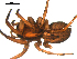  ( - BBUSA10-02-E04)  @12 [ ] CreativeCommons - Attribution (2010) Gergin Blagoev, Centre for Biodiversity Genomics Centre for Biodiversity Genomics