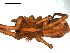  ( - BBUSA10-02-F01)  @12 [ ] CreativeCommons - Attribution (2010) Gergin Blagoev, Centre for Biodiversity Genomics Centre for Biodiversity Genomics