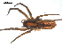  ( - CCDB-08468-B04)  @12 [ ] CreativeCommons - Attribution  Gergin Blagoev, Centre for Biodiversity Genomics Unspecified