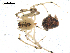  ( - CCDB-08468-B05)  @12 [ ] CreativeCommons - Attribution  Gergin Blagoev, Centre for Biodiversity Genomics Unspecified